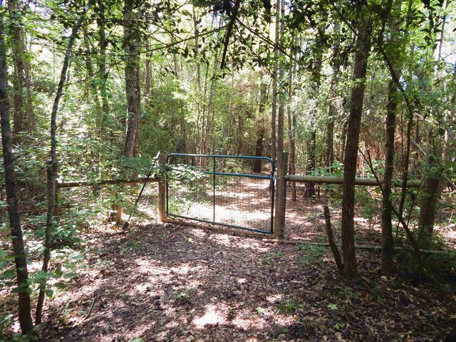 8909 FM 1795, Big Sandy, TX 75755