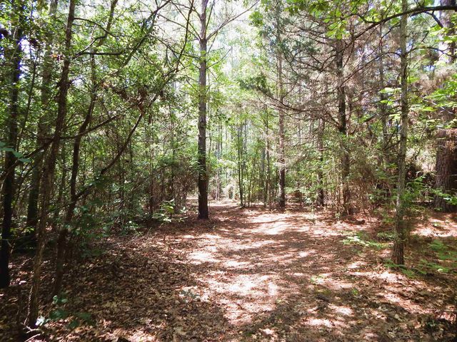 8909 FM 1795, Big Sandy, TX 75755