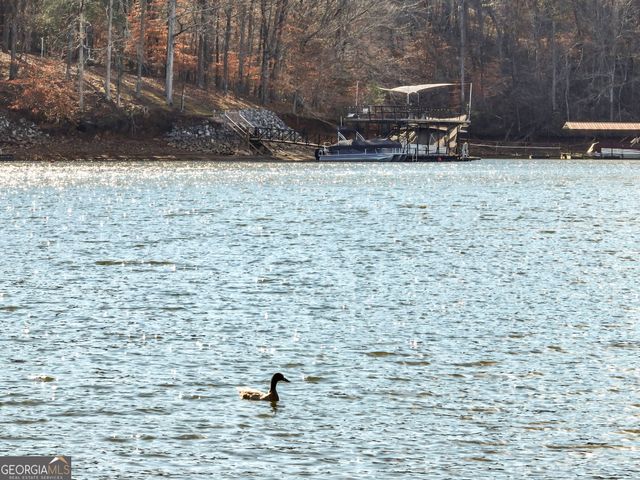 5651 Old Wilkie Road, Gainesville, GA 30506