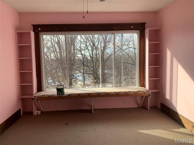 325 Iris Court, St Clair, MO 63077