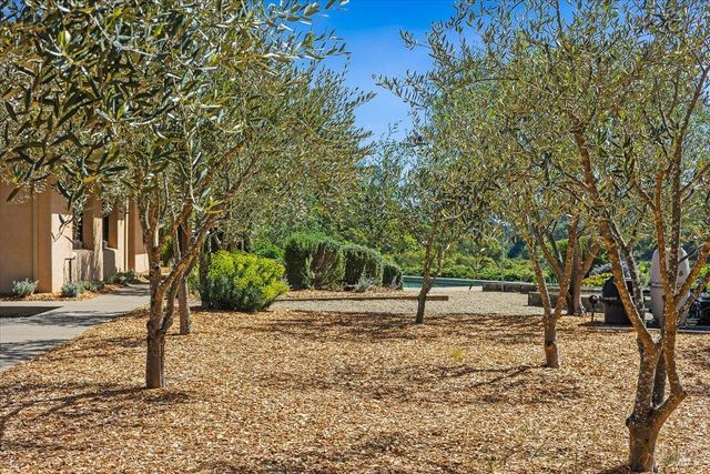 22355 Chianti Rd, Geyserville, CA 95441