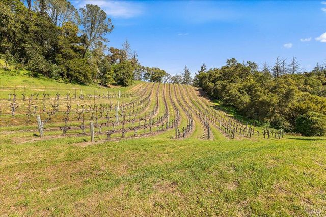 22355 Chianti Rd, Geyserville, CA 95441