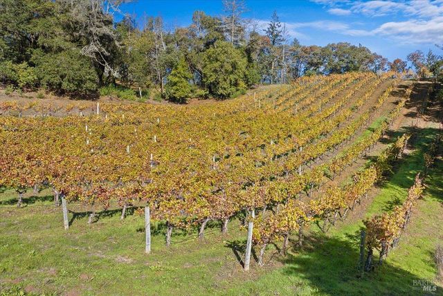 22355 Chianti Rd, Geyserville, CA 95441