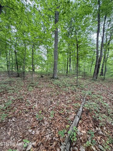 140 Britton Rd, Loudon, TN 37774