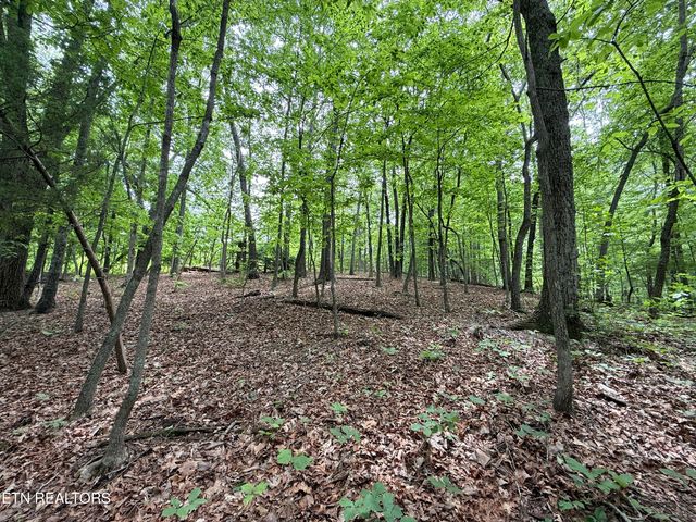 140 Britton Rd, Loudon, TN 37774