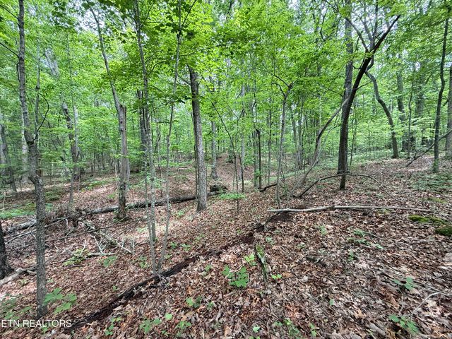 140 Britton Rd, Loudon, TN 37774