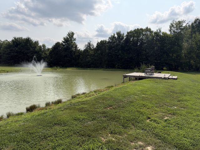 808 Clearview Rd, Cottontown, TN 37048