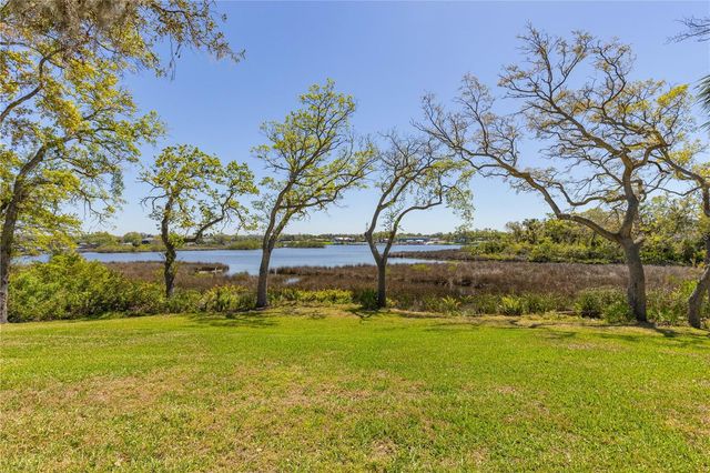 8910 EAGLE WATCH DRIVE, Riverview, FL 33578