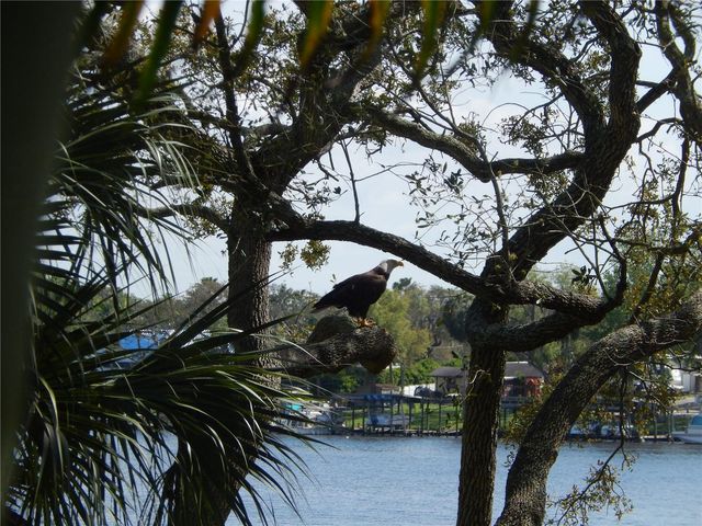 8910 EAGLE WATCH DRIVE, Riverview, FL 33578