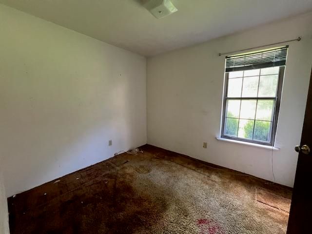 225 China Doll Drive, Tallahassee, FL 32312