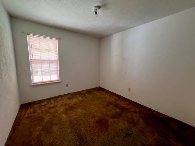 225 China Doll Drive, Tallahassee, FL 32312