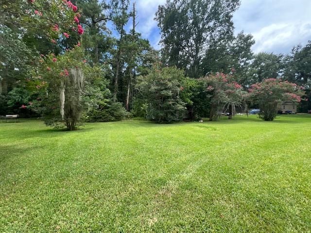225 China Doll Drive, Tallahassee, FL 32312