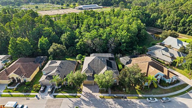 14906 MAN O WAR DRIVE, Odessa, FL 33556