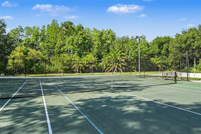 14906 MAN O WAR DRIVE, Odessa, FL 33556