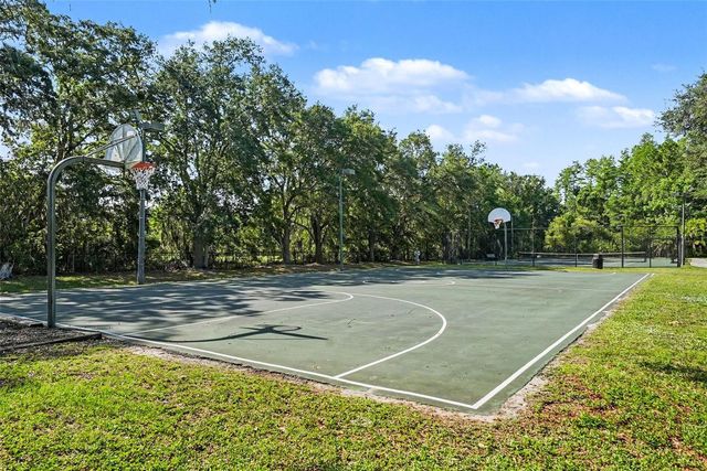 14906 MAN O WAR DRIVE, Odessa, FL 33556