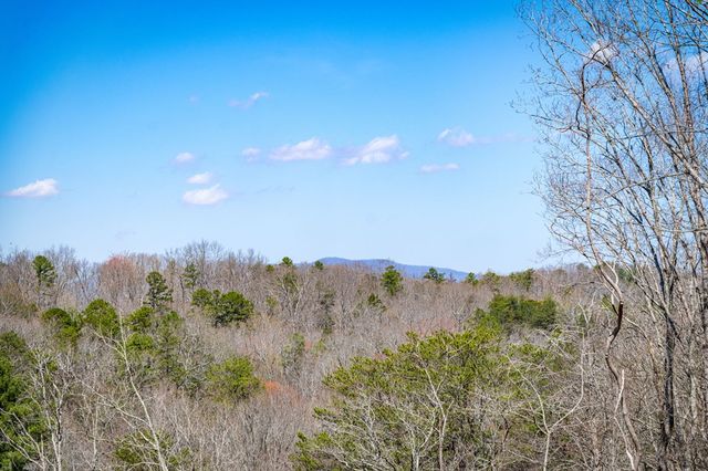 698 Oak Ridge Way, Ellijay, GA 30536