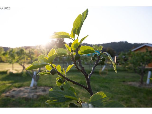 205 FAIR OAKS Rd, Oakland, OR 97462