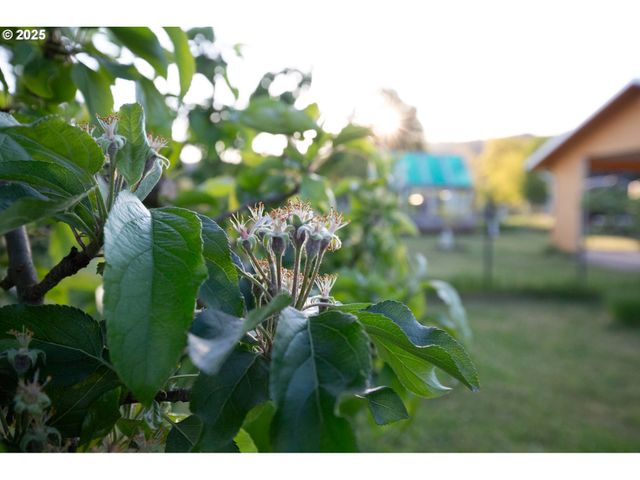 205 FAIR OAKS Rd, Oakland, OR 97462