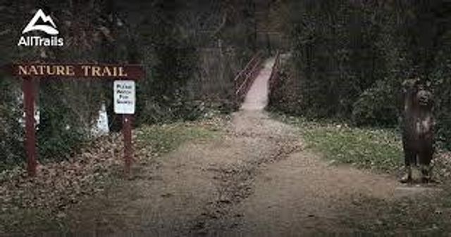 307 N Bradley Street, Harrisonville, MO 64701