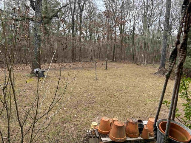 2500 Dorough Rd, Karnack, TX 75661