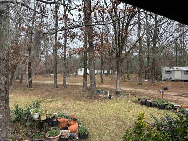 2500 Dorough Rd, Karnack, TX 75661