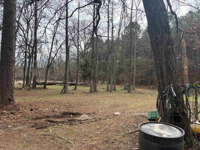 2500 Dorough Rd, Karnack, TX 75661