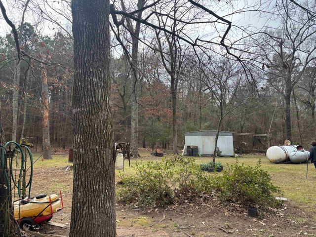 2500 Dorough Rd, Karnack, TX 75661