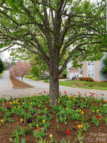 50 Park Avenue, Asheville, NC 28803