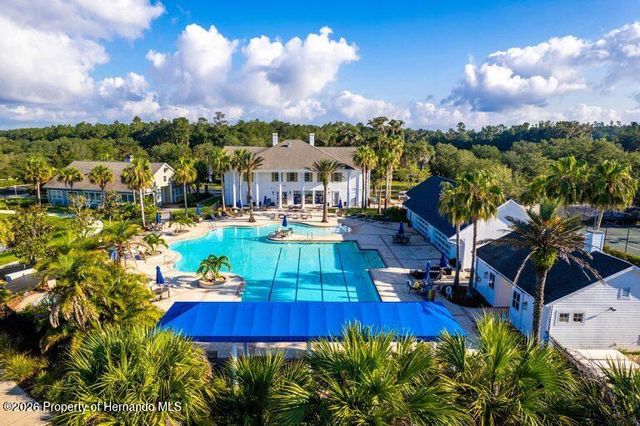 19571 Lily Pond Court, Brooksville, FL 34601
