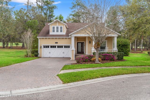 19571 Lily Pond Court, Brooksville, FL 34601