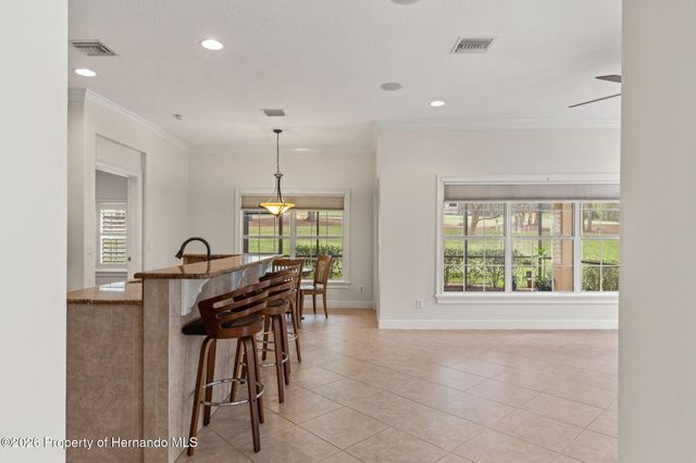 19571 Lily Pond Court, Brooksville, FL 34601