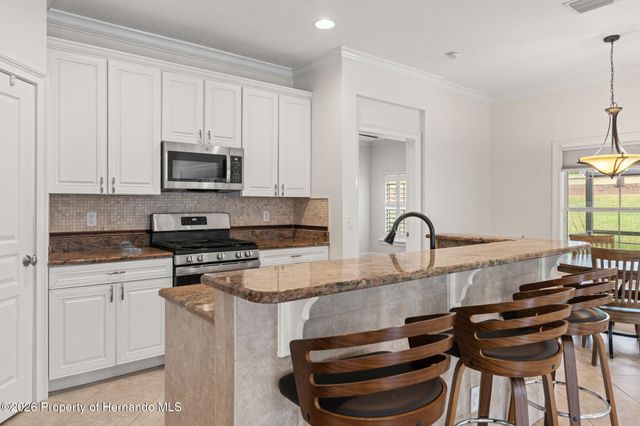 19571 Lily Pond Court, Brooksville, FL 34601