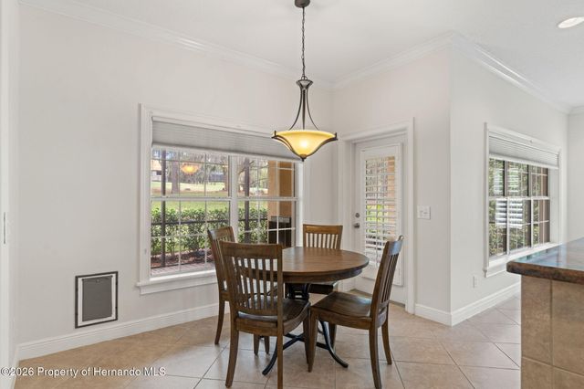 19571 Lily Pond Court, Brooksville, FL 34601