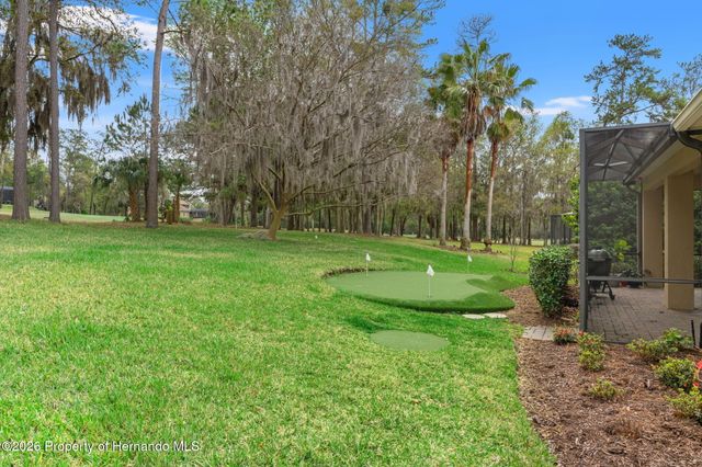 19571 Lily Pond Court, Brooksville, FL 34601
