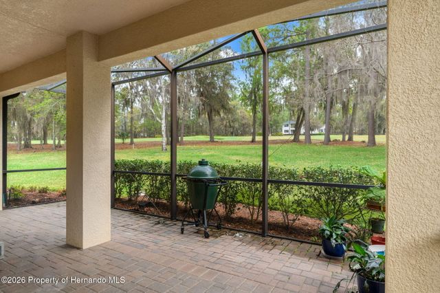 19571 Lily Pond Court, Brooksville, FL 34601