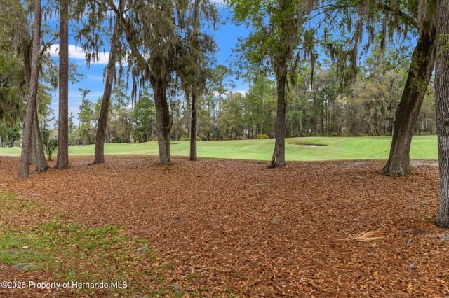 19571 Lily Pond Court, Brooksville, FL 34601