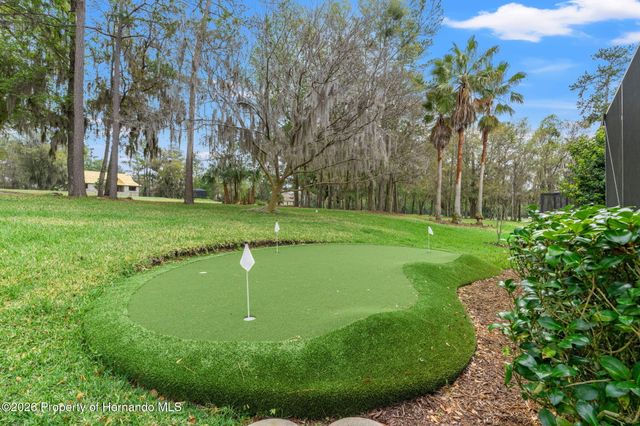 19571 Lily Pond Court, Brooksville, FL 34601