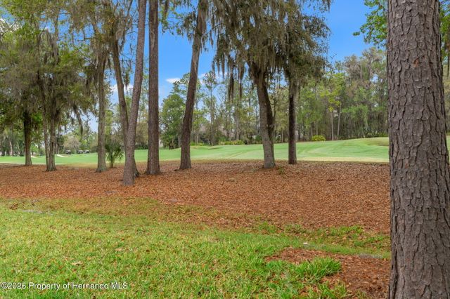 19571 Lily Pond Court, Brooksville, FL 34601