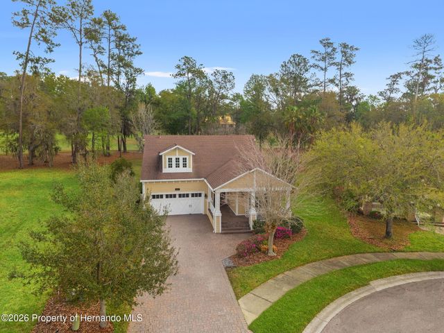 19571 Lily Pond Court, Brooksville, FL 34601