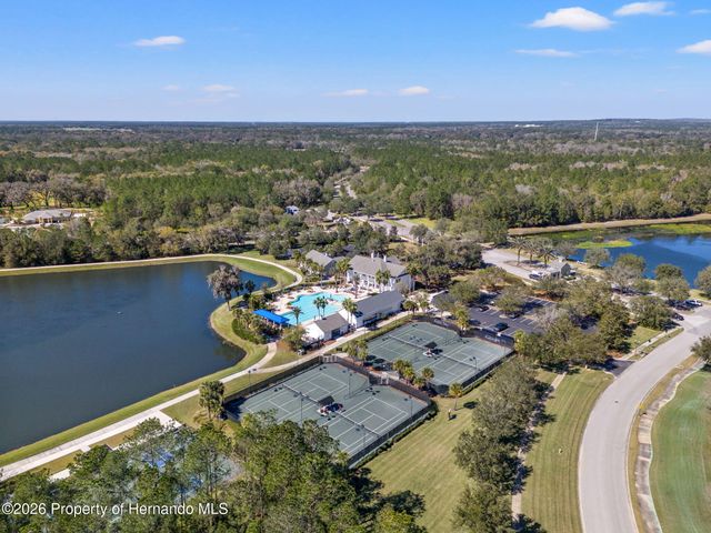 19571 Lily Pond Court, Brooksville, FL 34601