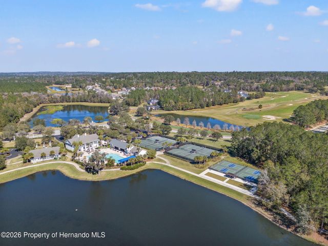 19571 Lily Pond Court, Brooksville, FL 34601