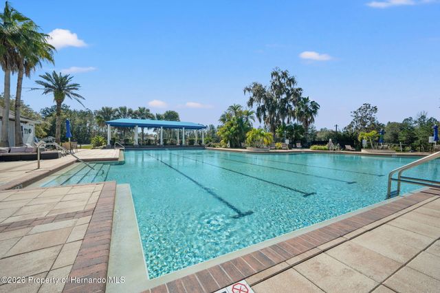 19571 Lily Pond Court, Brooksville, FL 34601