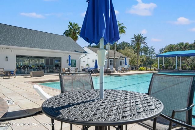19571 Lily Pond Court, Brooksville, FL 34601