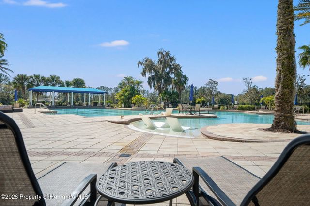 19571 Lily Pond Court, Brooksville, FL 34601