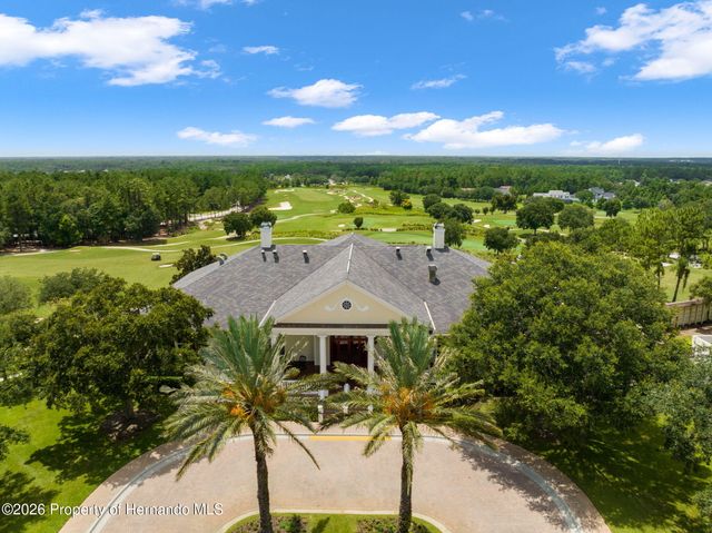 19571 Lily Pond Court, Brooksville, FL 34601