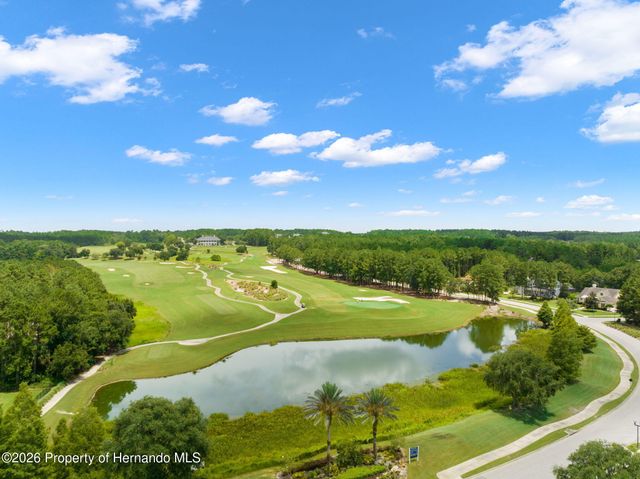 19571 Lily Pond Court, Brooksville, FL 34601