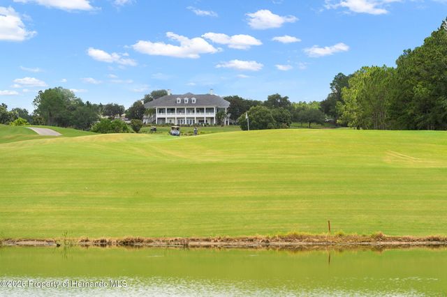 19571 Lily Pond Court, Brooksville, FL 34601