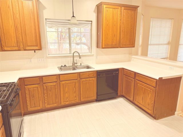 2438 Falcon DR, Round Rock, TX 78681