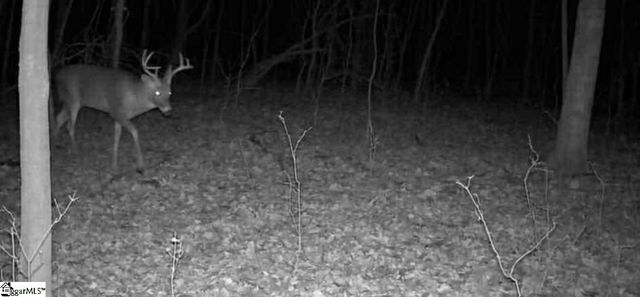 148 Brook Meadow Lane, Liberty, SC 29657