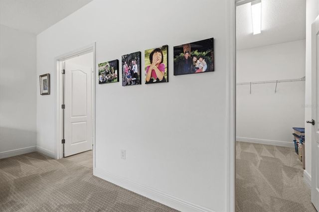 13165 STEINHATCHEE LOOP, Venice, FL 34293